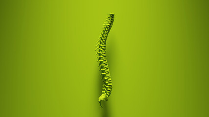 Green Vibrant Spine Spinal Cord Vertebrae Curves Background 3d illustration render - obrazy, fototapety, plakaty