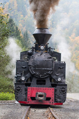 Obraz na płótnie Canvas The Reșița Engine used for the Mocanița touristic narrow line in Vișeul de Sus, Romania.
