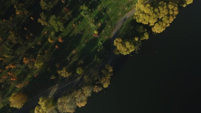 Flight over the autumn park. Park on the shore of a large lake. Trees with yellow autumn leaves are visible.  Aerial photography