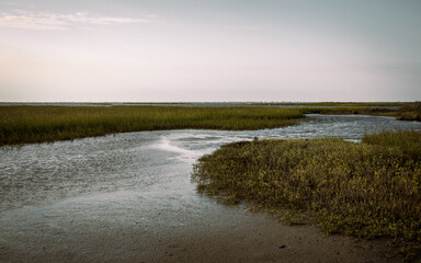 Galveston Island State Park, Texas