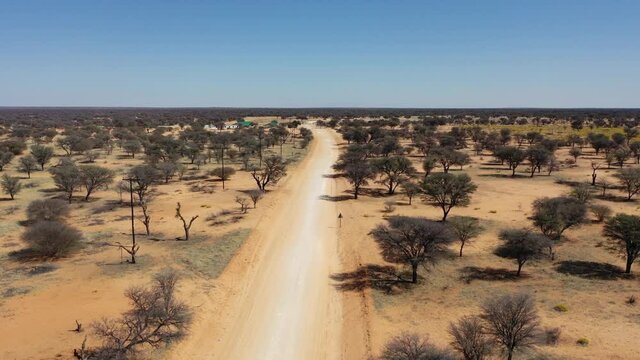 aerial view of the dry bush in a desertic area, following a dirt road
