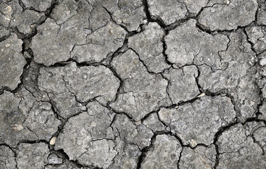 The land was dry and cracked. The global shortage of water on the planet. Global warming and greenhouse effect concept.	