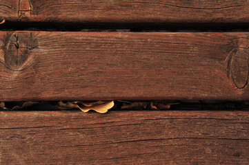 old wood texture