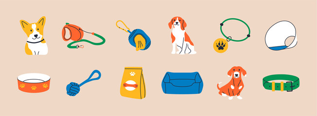 Cartoon dogs and equipment. Cute doodle shiba inu, dachshund and beagle home pets with supplies, toys, bed, bowl, food and leash. Vector set