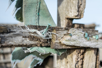 Close up rusted nail in old wood of a boat frame at Dungeness, Kent, England