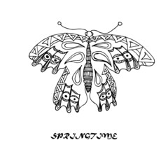 Vector doodle abstract outline decorative butterfly illustration