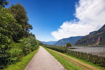 Fototapeta na wymiar Scenic cycle route in South Tyrol Italy