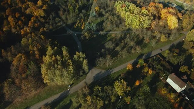 Flying in the autumn park. Yellowed leaves are visible on the trees. Panning flight. Aerial photography
