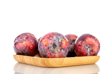 Several ripe purple plums on a bamboo tray, close-up, isolated on white.
