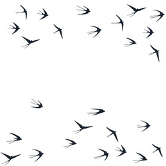 Flying swallow birds silhouettes vector illustration. Migratory martlets school isolated on white.