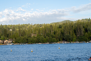 Fototapeta na wymiar trees on the lake