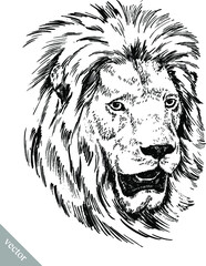 black and white brush painting ink draw vector isolated lion illustration