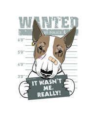 Vector illustration of a cute dog, bull terrier, bulldog, pitbull, staffordshire terrier. Print for poster or t-shirt, stickers. Wanted by Police, It wasn't me, really. - obrazy, fototapety, plakaty
