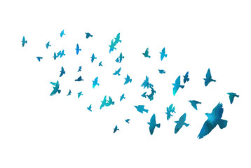 A flock of flying blue birds. Free birds. Vector illustration
