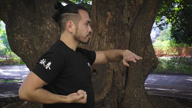 chinese man practicing kung fu at the park next to a tree