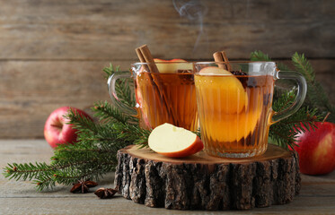 Hot mulled cider, ingredients and fir branches on wooden table
