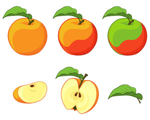 Set of colorful Apples. Leaf, a slice and half an apple. Vector illustration of apples isolated on a white background.