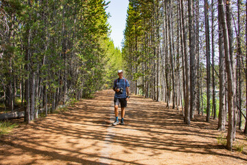 Walking in the forest near Jackson Lake, Grand Teton National Park, Wyoming, USA 