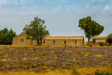 Provence,France,24.07.2021. Classic French Provencal landscape, cypresses, houses with tiled roofs immersed in greenery, vineyards and lavender fields