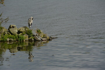 Natur