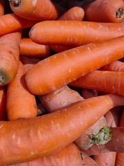 freshly washed ripe orange carrots on the counter in the supermarket