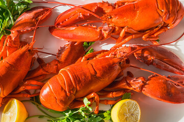 Steamed fresh red lobsters on a white plate with parsley and lemon.  One the best of seafood. View from above