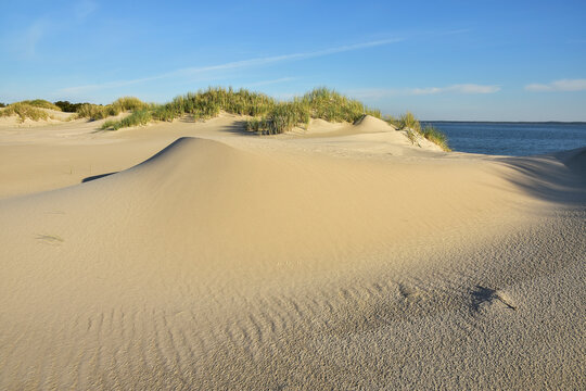 beautiful moving dunes and lake, Leba in Poland