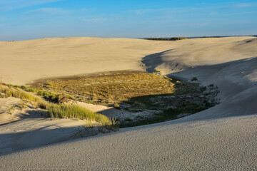 beautiful moving dunes, Leba in Poland - obrazy, fototapety, plakaty