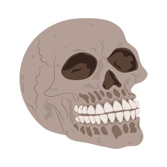 Abstract human skull vector illustration in beige and brown colors.