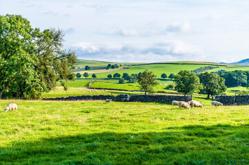 A view across the Dales near Malham, Yorkshire, UK on a summers day