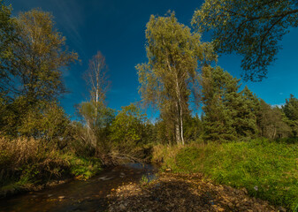 Blanice river with green trees in autumn sunny day