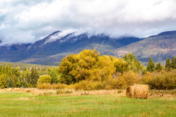 Farmer's field in autumn with hay bales, foliage, and cloud covered mountains near Whitefish,...