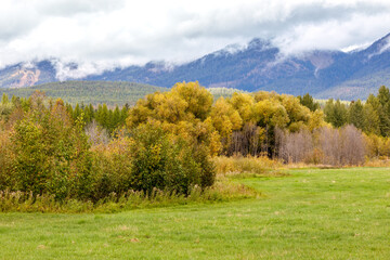 colorful fall foliage with farmer's field and cloud covered mountains in background near Whitefish, 