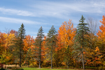 Fall colors in the Canadian countryside in the province of Quebec
drone, wings, vehicle, pilot, aerial, technology, blue, transportation, air, fly, aviation, flight, sky, aircraft

