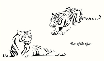 vector drawing of two silhouettes of a Chinese tiger in 2022, a simple hand-drawn Asian element for a poster, postcard, brochure, banner, calendar, vector illustration isolated on a light background