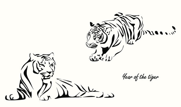 Tiger: line-art style by LolzYoi on DeviantArt