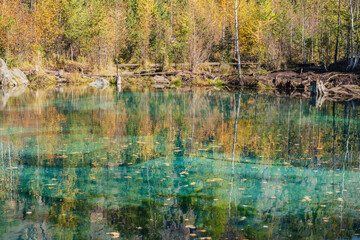 Colorful autumn landscape with clear mountain lake in forest among yellow trees in sunshine. Bright scenery with beautiful turquoise lake in golden autumn colors. Unusual transparent lake in fall time