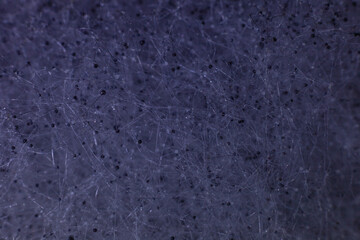 Purple background from the mesh of mycelium mold. Mukor mushroom