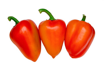 Paprika. Pepper red. Bell pepper isolated. Sweet red peppers. With clipping path. Full depth of field.