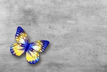 Fototapeta na wymiar Abstract grunge grey concrete background with colorful butterfly.