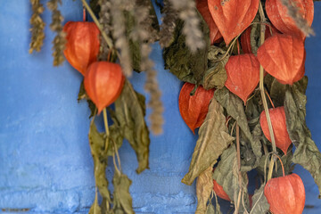 Drying herbs in an old wooden house. Dry plants hanging on the wall.