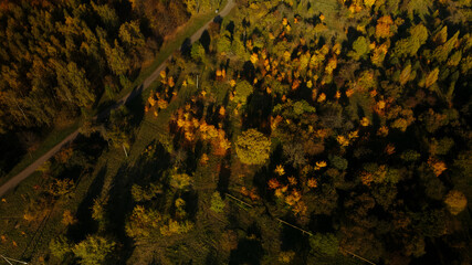Flight over the autumn park. Trees with yellow autumn leaves are visible. Aerial photography.
