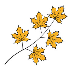 Drawing of a branch with maple leaves. Yellow color. Autumn season. Vector isolated art illustration on white background