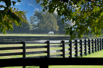 Rural Kentucky farmlands