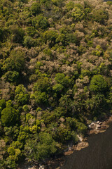 Aerial view of a beach in Brazil