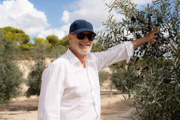 Old man enjoying nature, his olive trees and finca