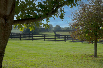 Kentucky prime farmland
