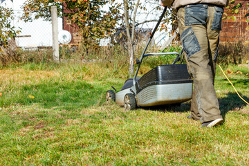A gardener mows green grass with an electric lawn mower in his backyard on a bright sunny autumn day, rear view.