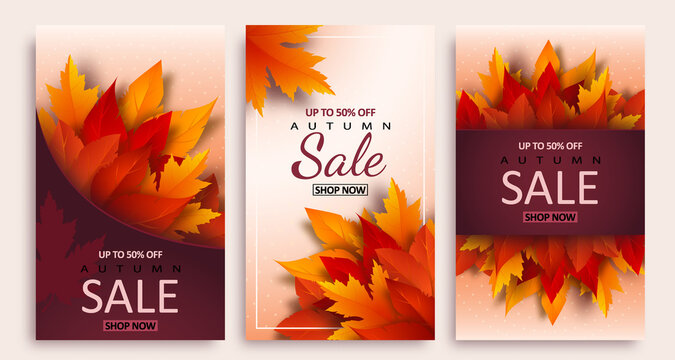 Set of Autumn sale posters design with bright Realistic yellow, red, orange leaves and advertising discount text decoration. Vector illustration.