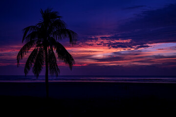 Fototapeta na wymiar Lilac sky and coconut tree